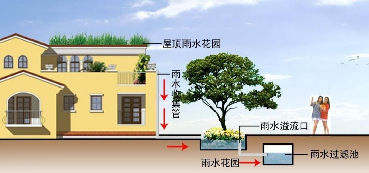 雨水收集系統的幾種類型知道嗎？由哪些結構組成？